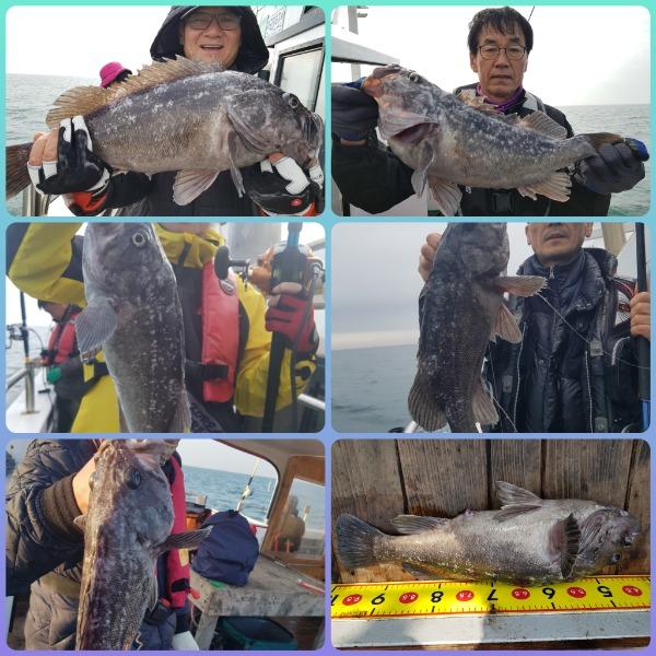 CollageMaker_20191125_080110068.jpg