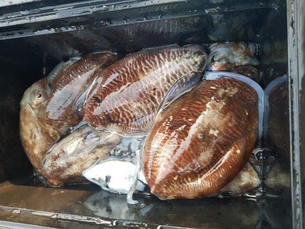 KakaoTalk_20191103_164656482.jpg