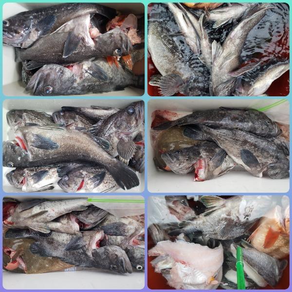 CollageMaker_20191125_080250188.jpg