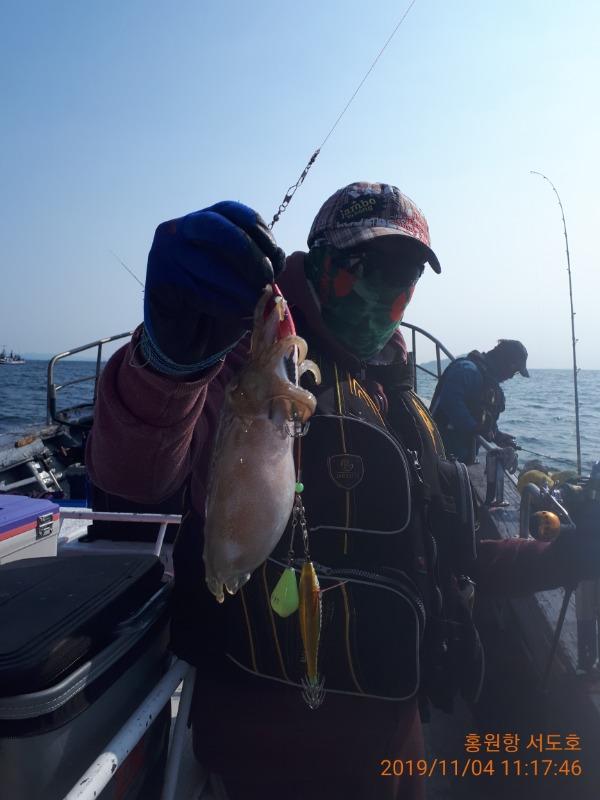 20191104_111746.jpg