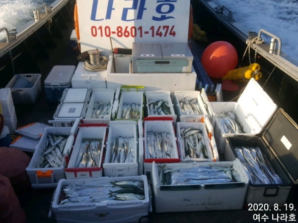KakaoTalk_20200819_065926187_04.jpg