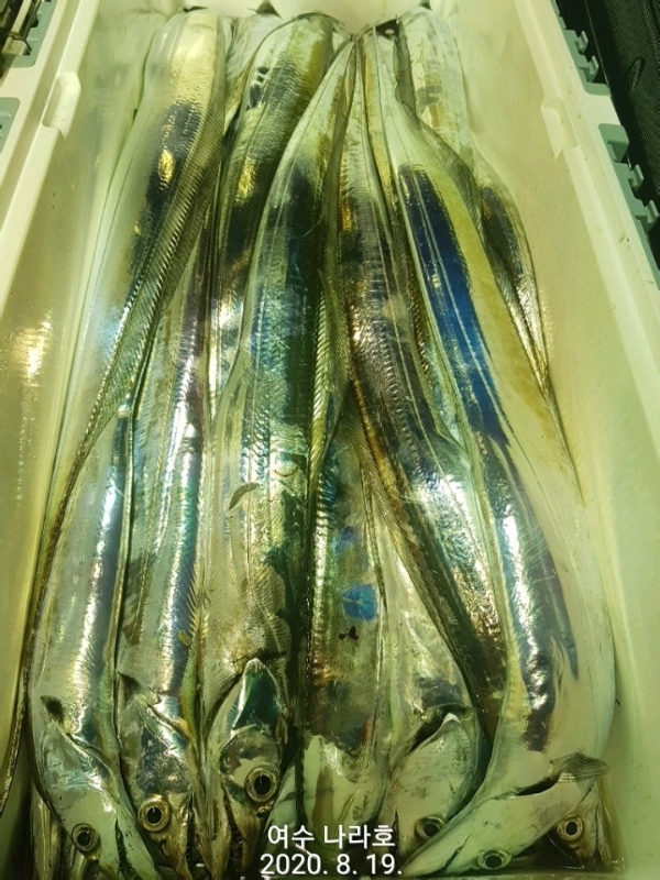 KakaoTalk_20200819_083750212_11.jpg
