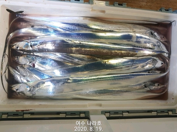 KakaoTalk_20200819_083750212_07.jpg