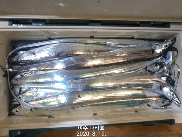 KakaoTalk_20200819_083750212_06.jpg