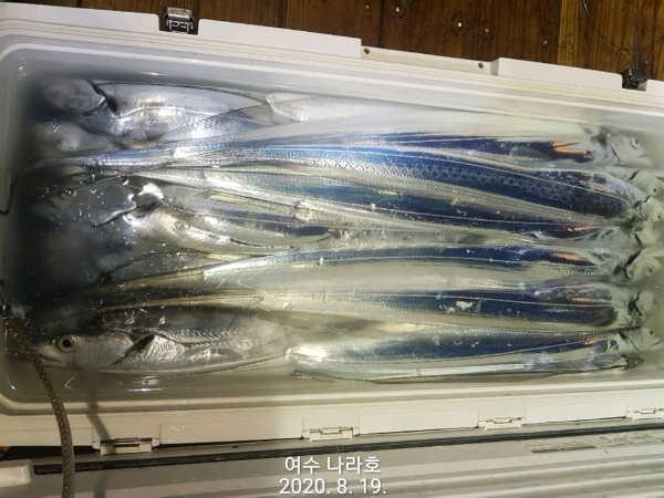 KakaoTalk_20200819_083750212_08.jpg