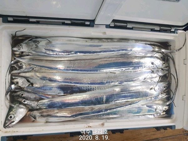 KakaoTalk_20200819_083750212_05.jpg