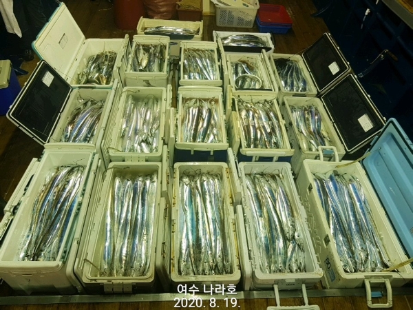 KakaoTalk_20200819_083750212.jpg