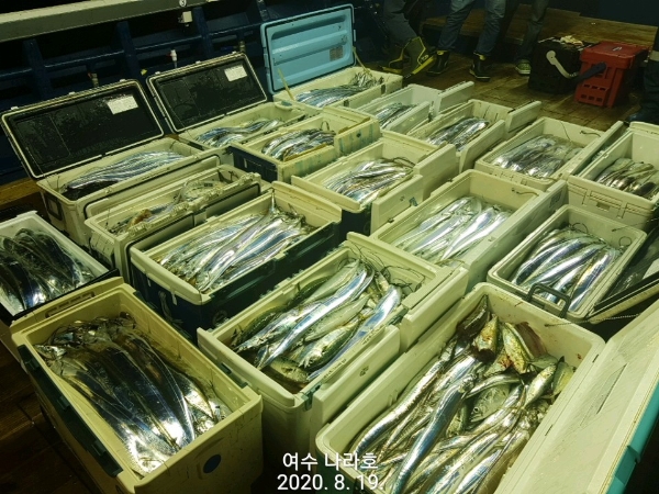 KakaoTalk_20200819_083750212_03.jpg