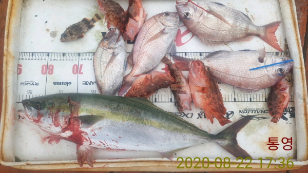 DateCamera0822173604.jpg