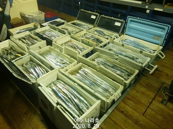 KakaoTalk_20200819_083750212_01.jpg