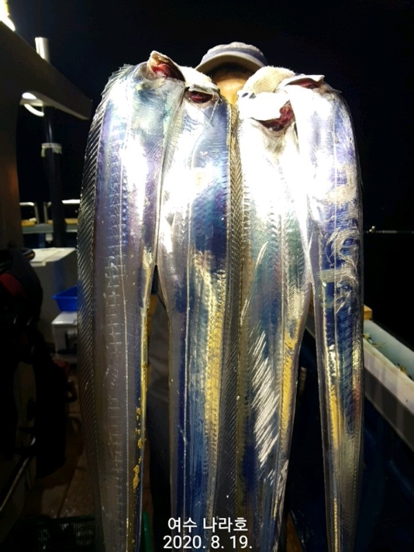 KakaoTalk_20200819_083750212_21.jpg