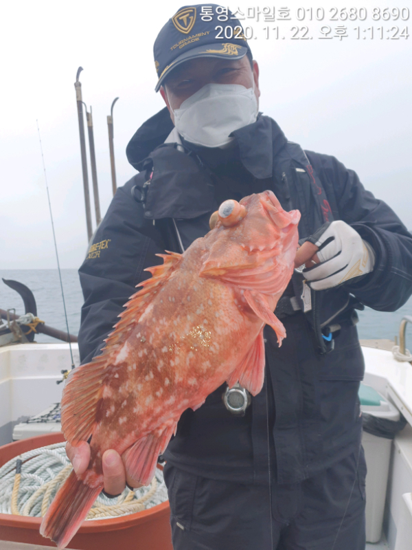 TimePhoto_20201122_131124.jpg