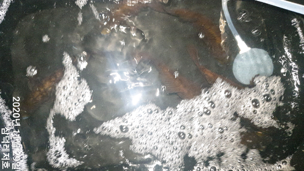TimePhoto_20201129_004844.jpg