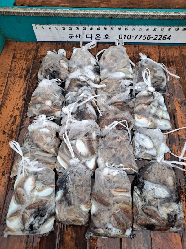 전체 조과.jpg