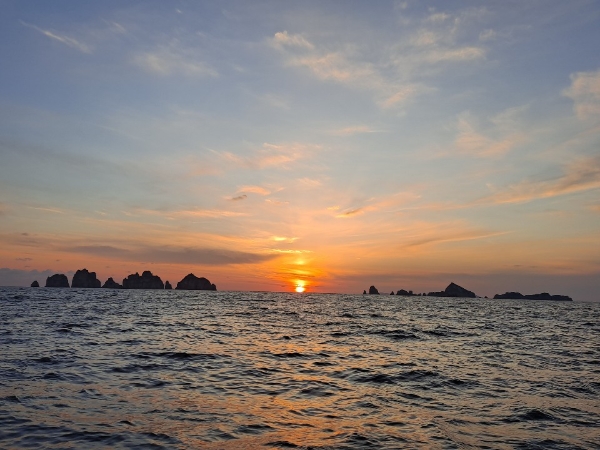 1605270452292-0.jpg