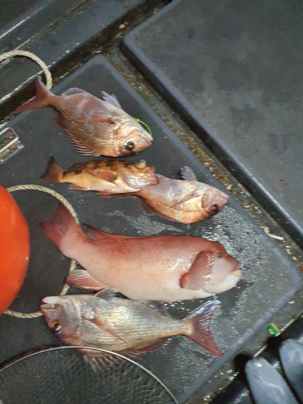 20201130_174935.jpg
