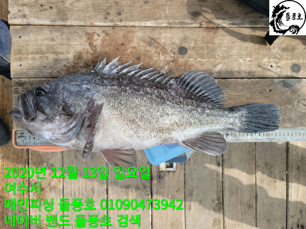 TimePhoto_20201213_134948.jpg