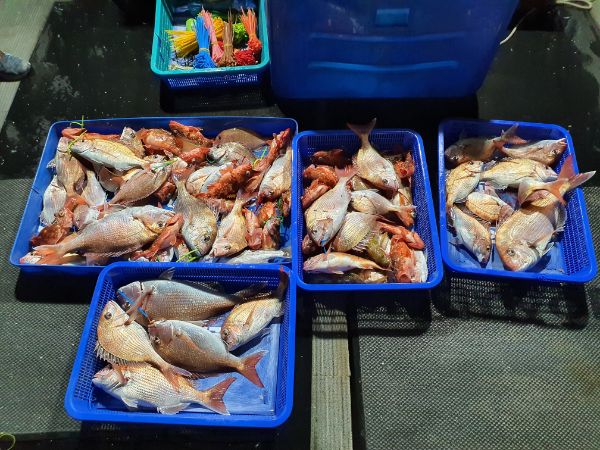 20201210_180713.jpg