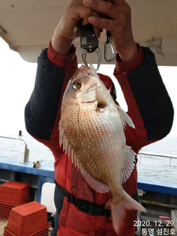 TimePhoto_20201229_140924.jpg