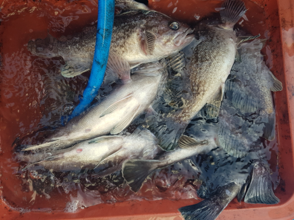 20191130_154656.jpg