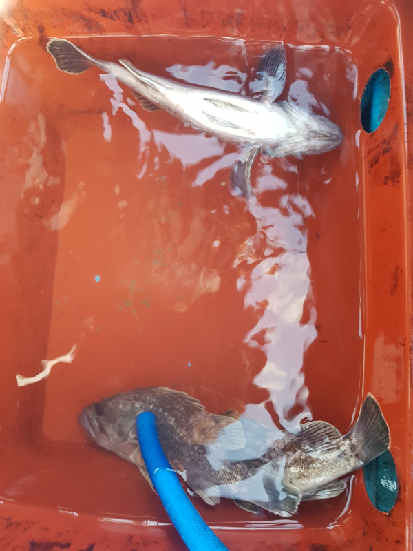 20191130_160843.jpg