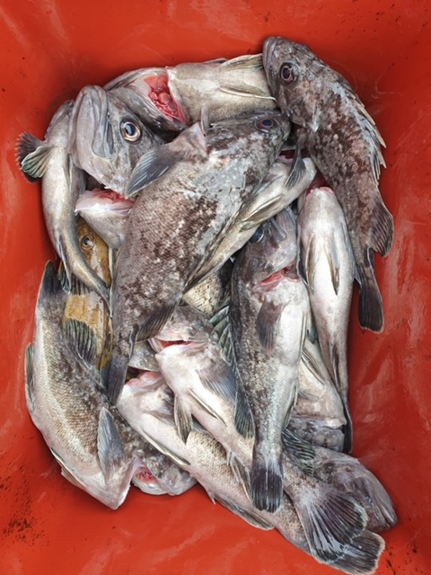 abaa22fddc95aa53ba2a9c9084b63ebc.JPG