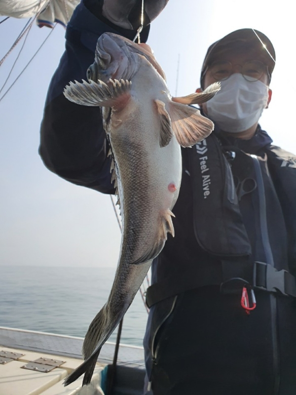 KakaoTalk_20210319_193539480.jpg