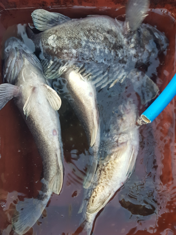 20191130_160912.jpg
