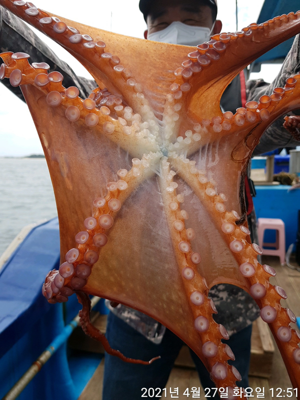 3F058906-6E34-46B9-9959-59655B26C9C8.jpeg