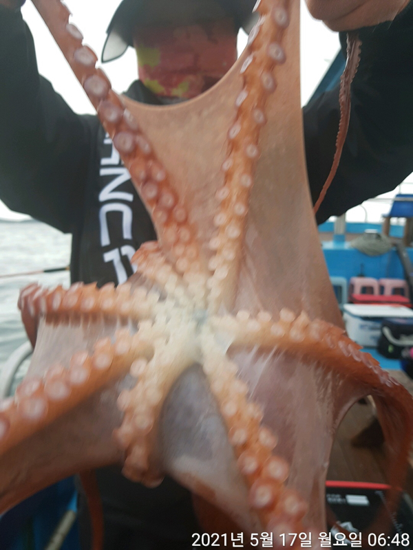 8AF21823-D656-4F83-80BB-D16E5641CF2A.jpeg