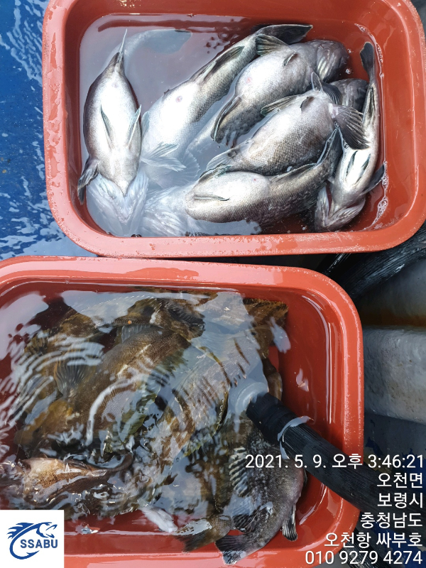 1620582292995-6.jpg