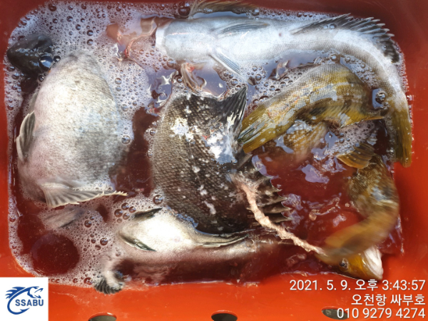 1620582292995-9.jpg