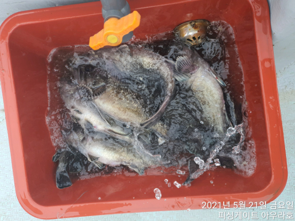 fdfe46cf106f46d510ecaba386b46c90.jpg