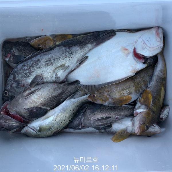 933B5AE8-AFFB-433E-ACC2-636E7CC52283.jpeg