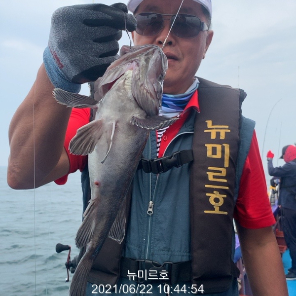 E9AEE616-B842-4C5E-B344-B9A67151F092.jpeg