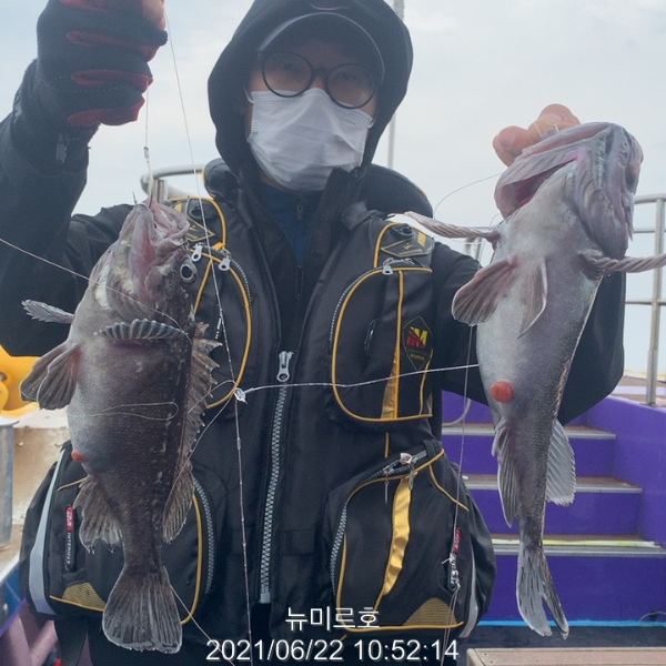 1B847391-04C1-40A4-A95E-1C633B811876.jpeg