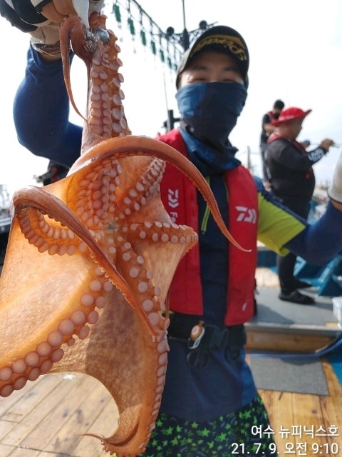7월9일문어 (12).jpg