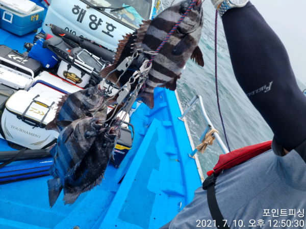 1625894348339-0.jpg