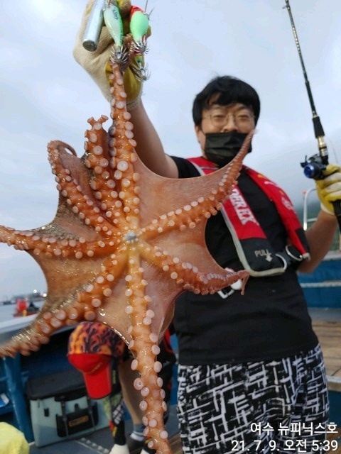 7월9일문어 (20).jpg