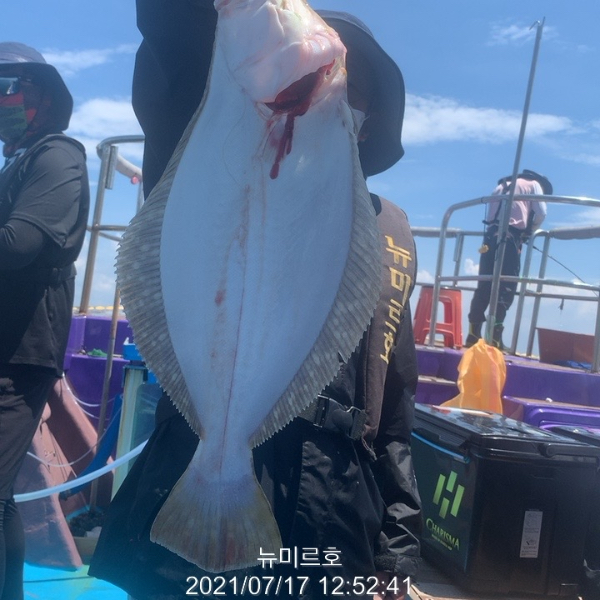 81A7B5DF-5D1A-41FA-987C-55493A87FF53.jpeg