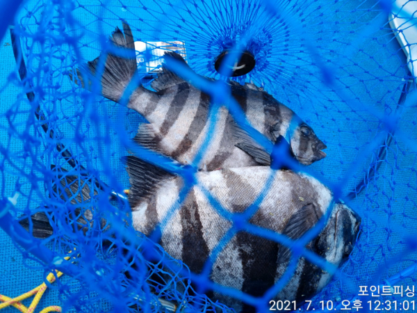 1625894348339-5.jpg