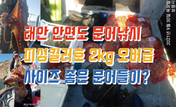 2156abb3a733a6432d3ae01a7188ba2a.jpg