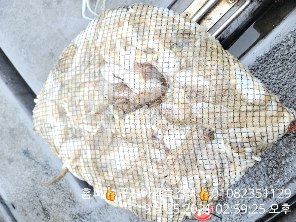 74d11cc12cb1c936e3479acf2a1dd6ab.jpg