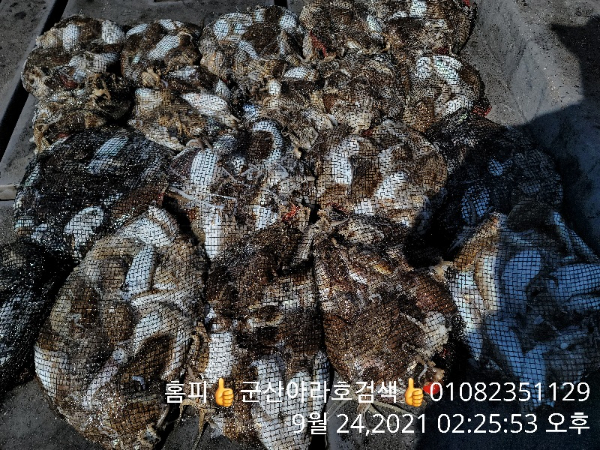 b1cc05451193ac69e57c6120a2d3b691.jpg