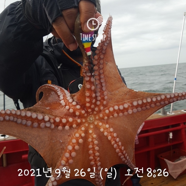 KakaoTalk_20210926_150135064_10.jpg