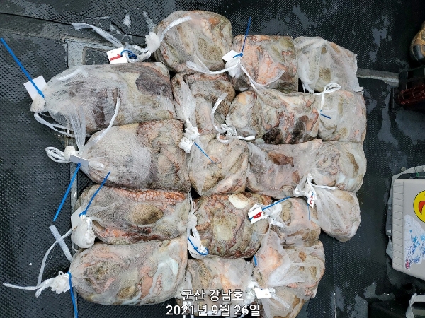 7_d1jUd018svc1ntotqice783v_cclrtc.jpg