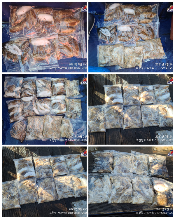 CollageMaker_20210924_210434331.jpg