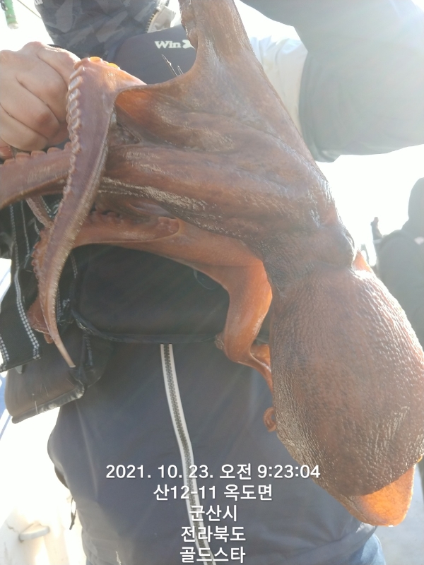 KakaoTalk_20211023_152324753.jpg