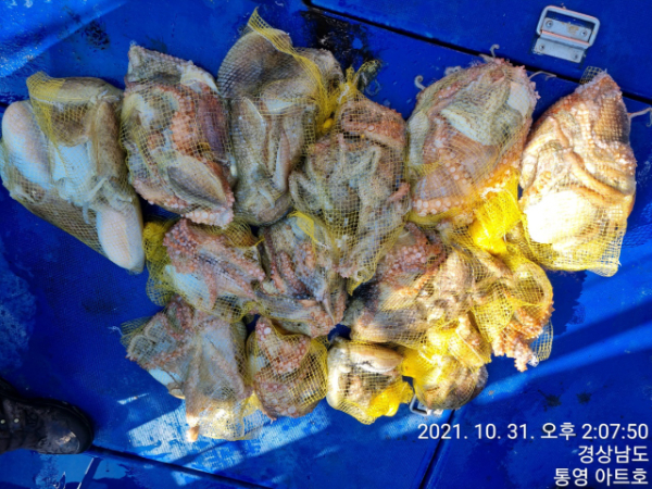 Resized_1635729133999 (1).jpeg