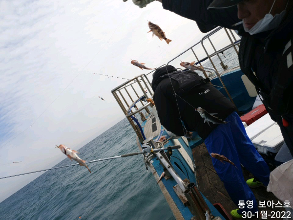 1eda47a14ec86dd4f9b068d67874ef18.jpg